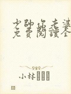 少帅你老婆跑了免费阅读全文漫画封面