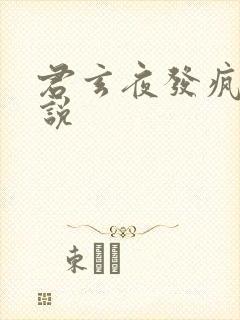 君玄夜发疯的小说