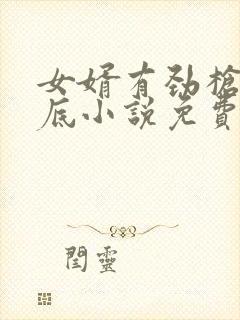 女婿有劲枪枪到底小说免费看封面