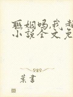 联姻吗,我超甜小说全文免费阅读