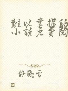 难以掌握的浑圆小说免费阅读