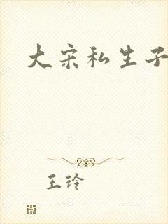 大宋私生子封面