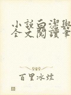 小说白洁与高义全文阅读笔趣阁白洁