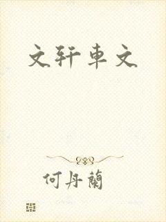 文轩车文