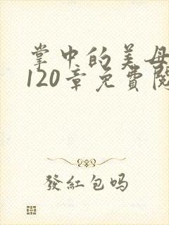 掌中的美母版主120章免费阅读封面