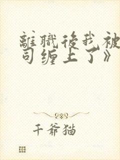 离职后我被前上司缠上了》