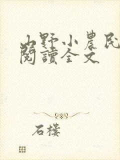 山野小农民在线阅读全文封面