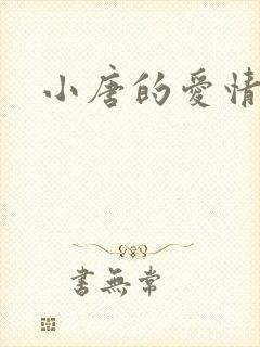 小唐的爱情史