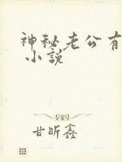 神秘老公有点坏 小说