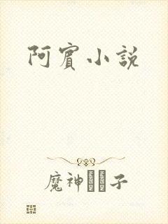 阿宾小说