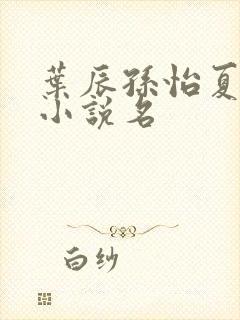 叶辰孙怡夏若雪小说名
