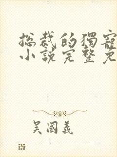 总裁的独宠甜妻小说完整免费封面