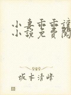 小妻乖乖让我宠小说免费阅读