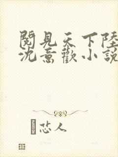 阅见天下陆沉舟沈意欢小说封面