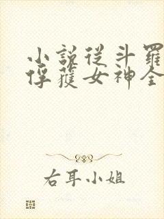 小说从斗罗开始俘获女神全文免费读