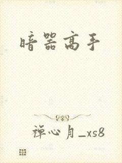 暗器高手