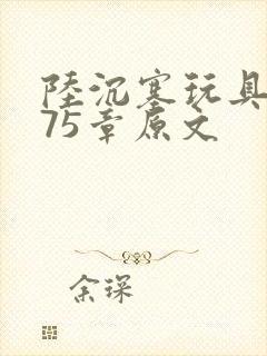 陆沉塞玩具高速75章原文