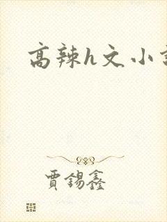 高辣h文小说网