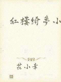 红楼绮梦小说封面
