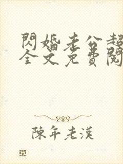 闪婚老公超给力全文免费阅读全文