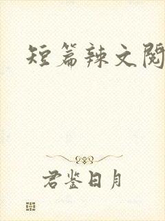 短篇辣文阅读