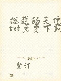总裁的天价前妻txt免费下载