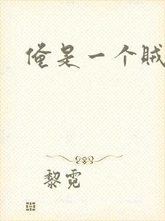 俺是一个贼封面