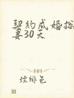 契约成婚总裁宠妻30天