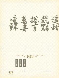 亿万总裁追妻 鲜妻有点甜封面