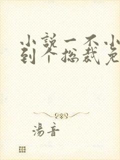 小说一不小心捡到个总裁免费阅读