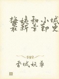 梅姨和小城小说最新章节更新时间封面