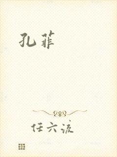 孔菲封面