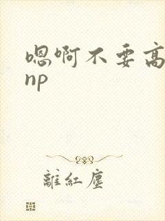 嗯啊不要高h np封面