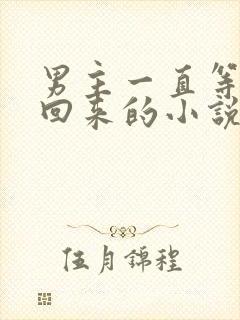 男主一直等女主回来的小说