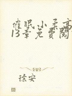 催眠小柔高达第13章免费阅读