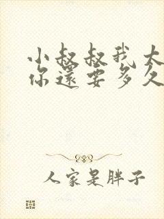 小叔叔我太累了你还要多久封面