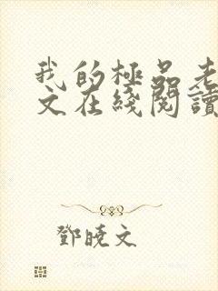 我的极品老婆全文在线阅读