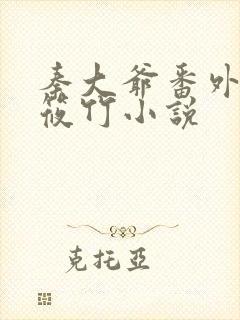 秦大爷番外篇付筱竹小说