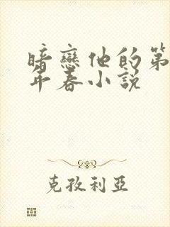 暗恋他的第十一年春小说