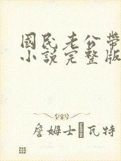 国民老公带回家小说完整版