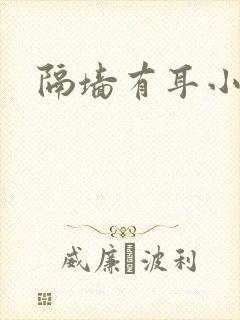 隔墙有耳小说封面