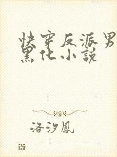 快穿反派男神别黑化小说