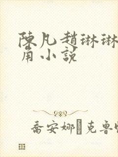 陈凡赵琳琳的主角小说