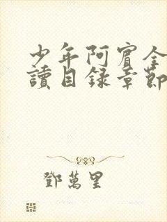 少年阿宾全文阅读目录章节小说