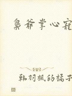 枭爷掌心宠