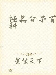极品公子百度百科