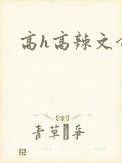 高h高辣文合集封面