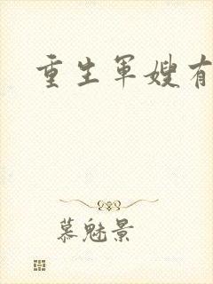 重生军嫂有空间