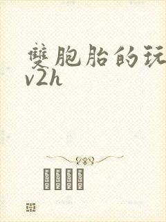 双胞胎的玩具1v2h