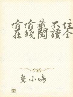 偷偷藏不住小说在线阅读全文免费